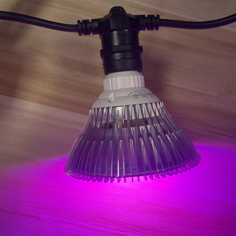 10M Cable LED String Commercia - đánh giá và giá Outdoor Lighting In Ground