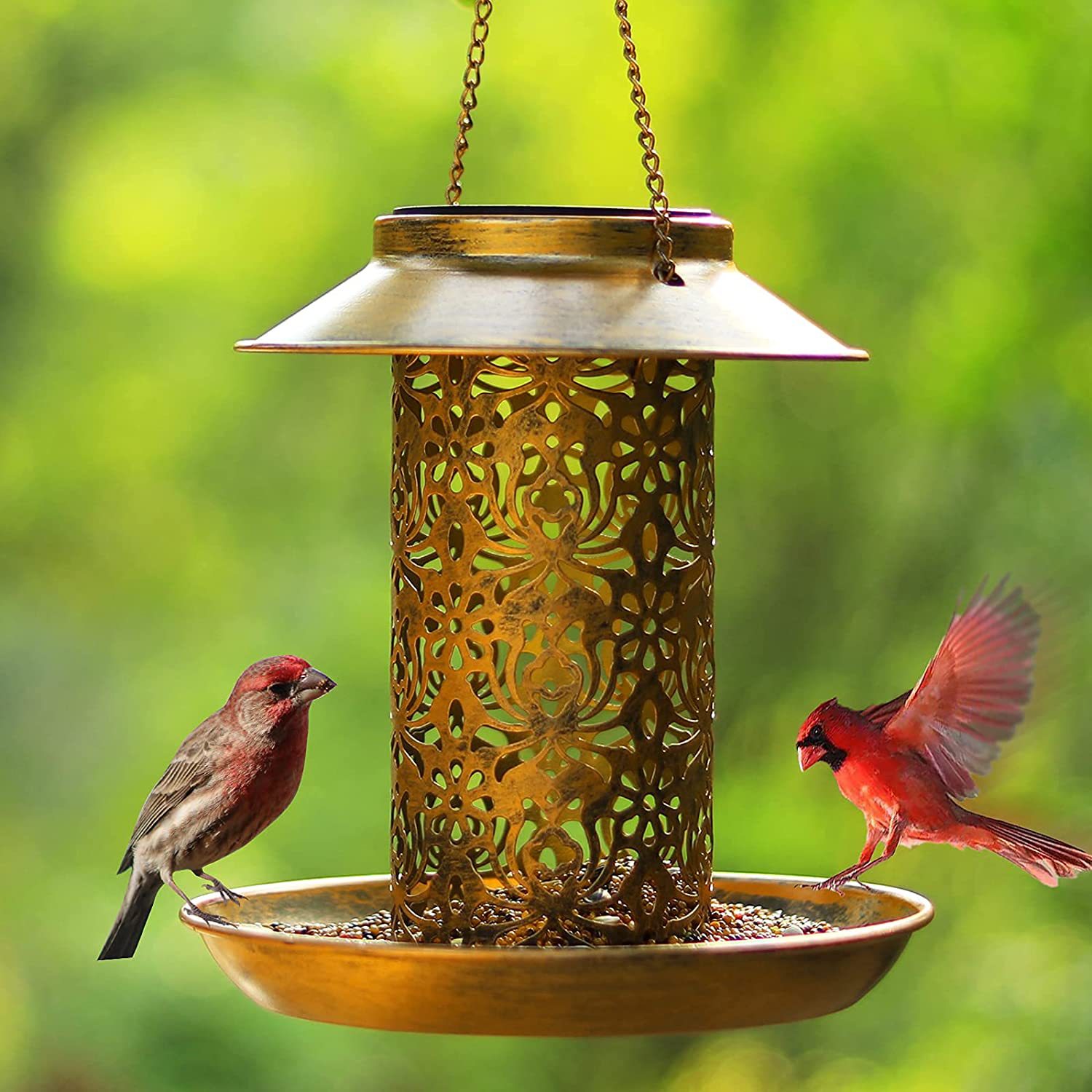Hanging Bird House Metal Outdo - đánh giá và giá Outdoor Lighting Ideas For House